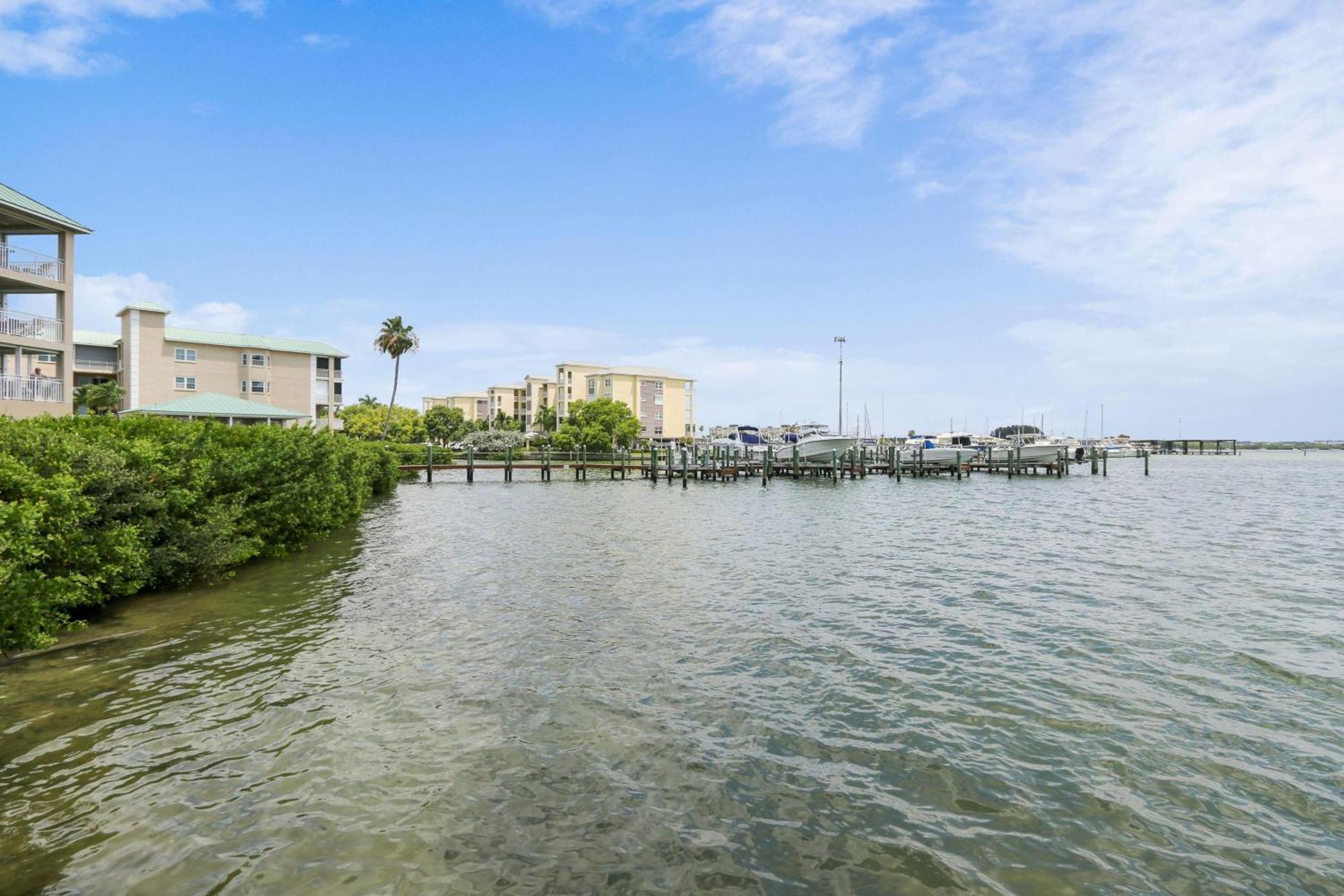Coconut Paradise St. Pete Beach Exterior foto